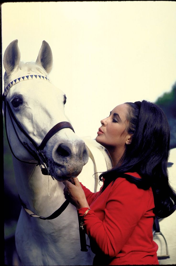 Elizabeth Taylor - Some Of My Best Leading Men Have Been Dogs and Horses